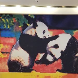 Meet your Posher, Dora a.